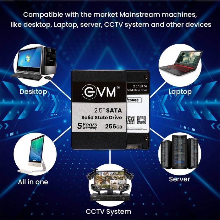 The Ultimate Strings - Computer All Hardware - SSD 256GB EVM25  2.5 "INCH SATA